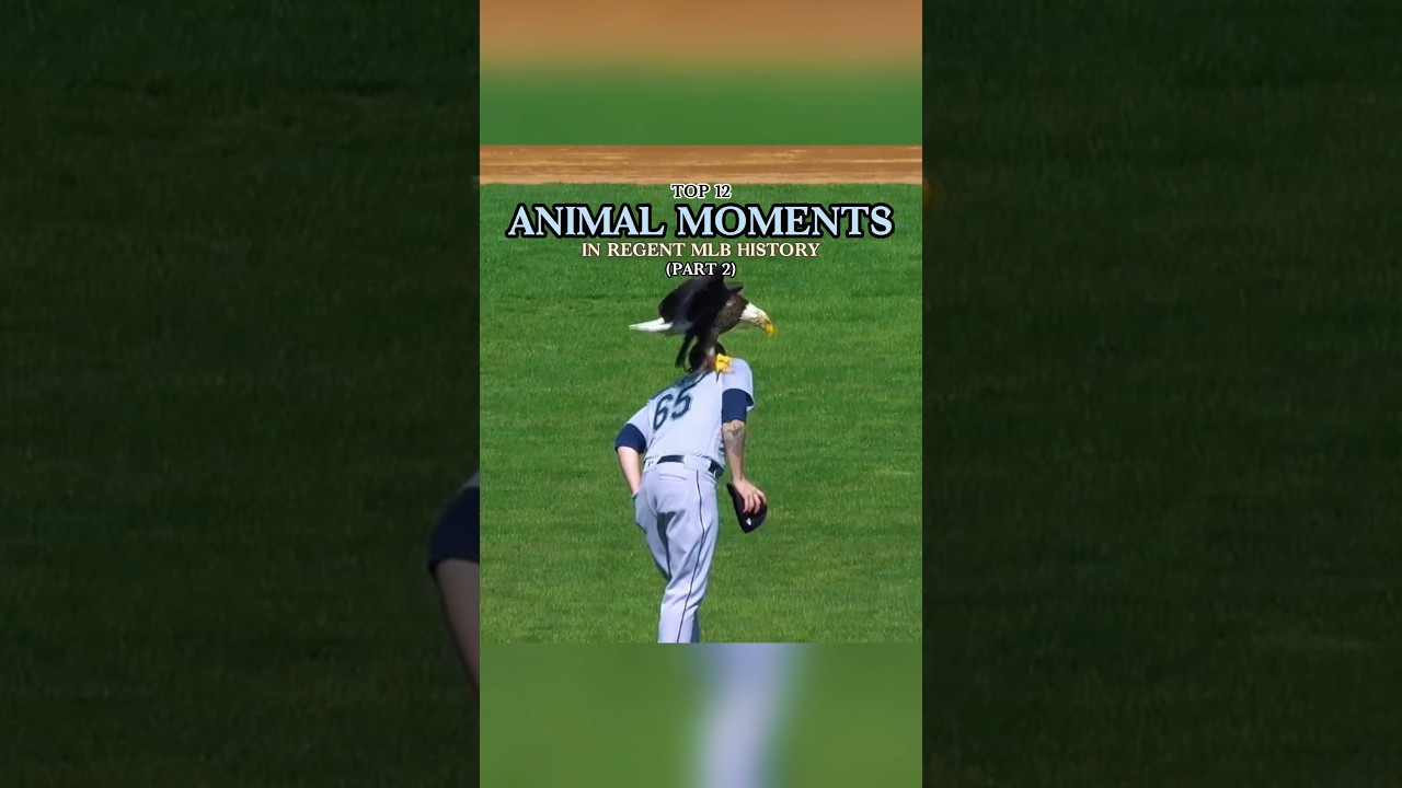 Which one impressed you the most? #foryou #mlb #sports