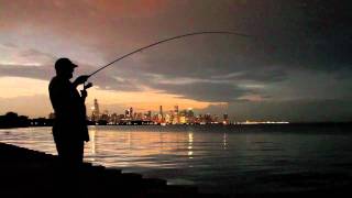 15lb Chinook Salmon from Lake Michigan