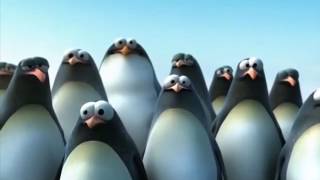Il video più stupido del mondo