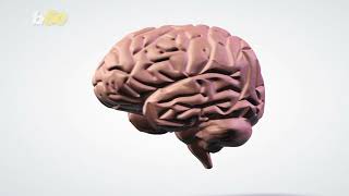 Video Games Make You Smarter and More Social, Studies Say