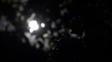 تلاوة من آخر سورة الروم من فجريات الشيخ عبدالله الجهني 1438 هـ