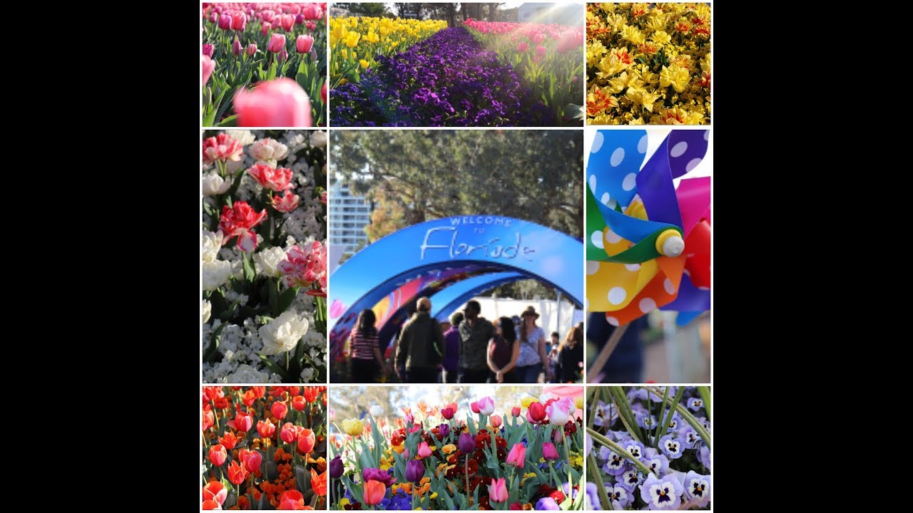 Floriade 2019 Australia's biggest celebration of Spring