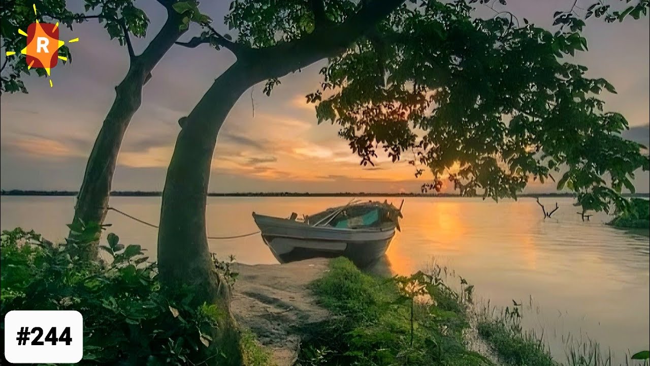 ඔබ මග පෙන්වීමක් ඉල්ලා සිටියා, අද එය ඔබට ලැබෙනවා | Divine Message | විශ්වීය පණිවිඩය | From Universe