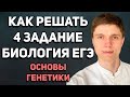 Как решать 4 задание ЕГЭ по биологии | Основы генетики