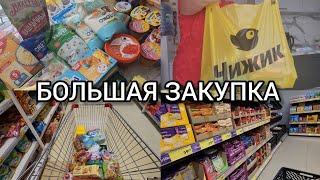 ХОЖУ ПО МАГАЗИНАМ: СВЕТОФОР🚦ЧИЖИК🐦МАГНИТ 🛒АГРОКОМПЛЕКС 🌾