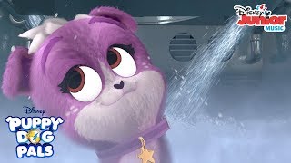 Dog Washing | Music Video | Puppy Dog Pals | Disney Junior