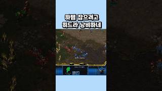 하템 잡으려고 히드라 낭비하네 #스타크래프트 #프로토스 #히드라  #게임 #스타