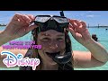 Nade con Mantarrayas -IslaDISNEY - Castaway Cay