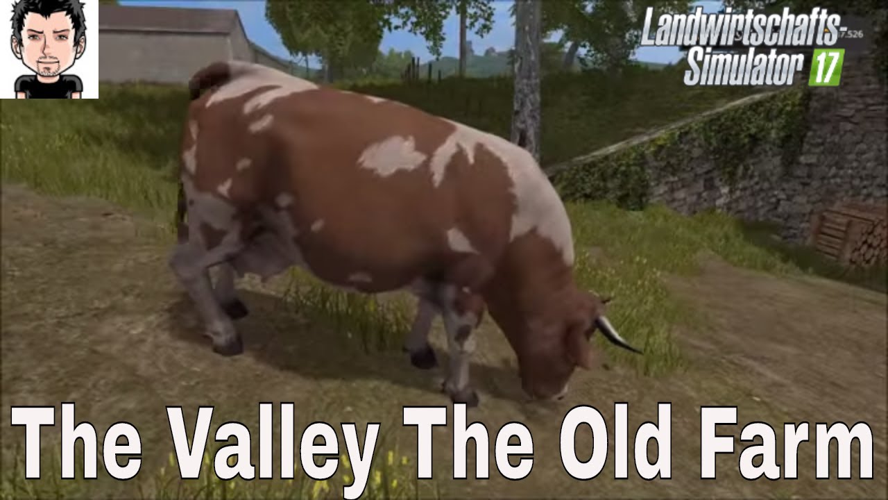 LS17 Strohbergung ADD ON Teil 22 The Valley The Old Farm Landwirtschafts Simulator 2017