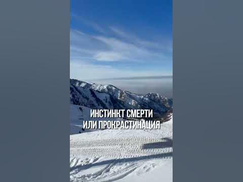 Инстинкт смерти или прокрастинация - YouTube