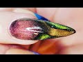 Magnetic gel polish nails | cat eye nails | 3D French nails