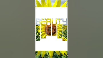 canva text mask hack 🔥| canvatricks 💡 2025 | Easy clipping mask tutorial #canva #shorts