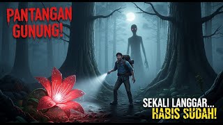 MELANGGAR PANTANGAN GUNUNG! Ini yang Terjadi Padaku…