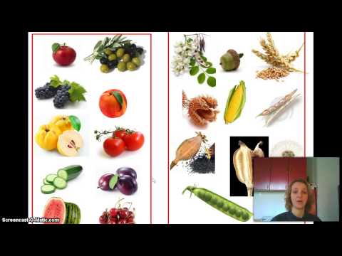 Video: Jestivi dijelovi povrća - uobičajene sekundarne jestive biljke povrća