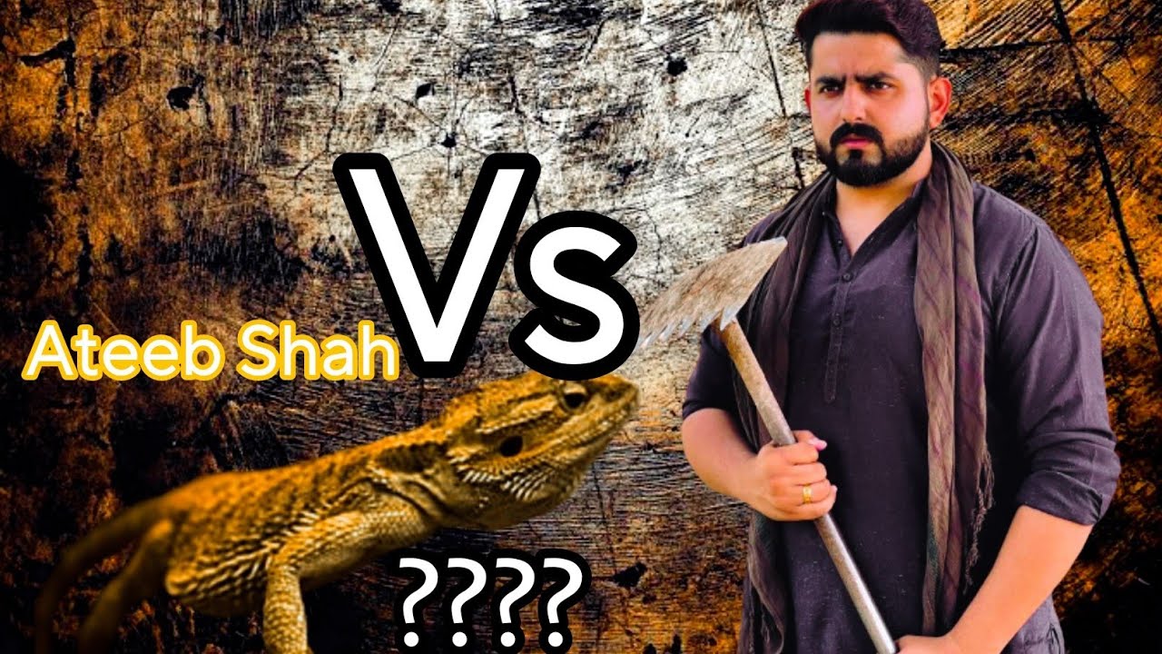 Ateeb Shah Pay Hua Attack | Or Phir Kya hua ????? | Ateeb Shah | Bwp ...