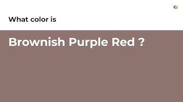 Brownish Purple Red color #8d746f hex color - Brown color - Cool color 8d746f