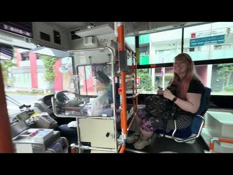 Japan 2025 Dag 4 Meji Jingu Festival Yoyogi Park