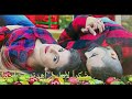 صباح محمود ميت اني من فركاك روووعه صباح محمود ميت اني من فركاك روووعه