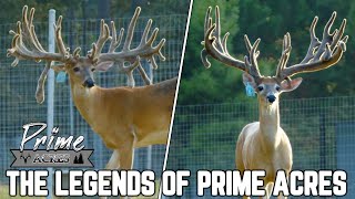 The Next Big Names in the Deer Industry! | Prime Acres Whitetails 2023