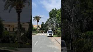 #qalbi  #Tahir  #islamicofficial #ruqiakizindagi #share #like #muhamadﷺ #youtubeshorts