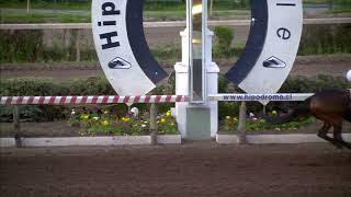 Vidéo de la course PMU PRIX RESPETABLE
