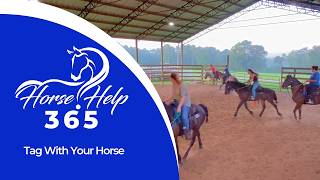 Tag With Your Horse| Horse Help - Michael Gascon