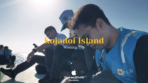 Working Trip to Kojadoi Island
