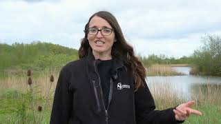 Double your impact for White Storks - Big Give Earth Raise 2026