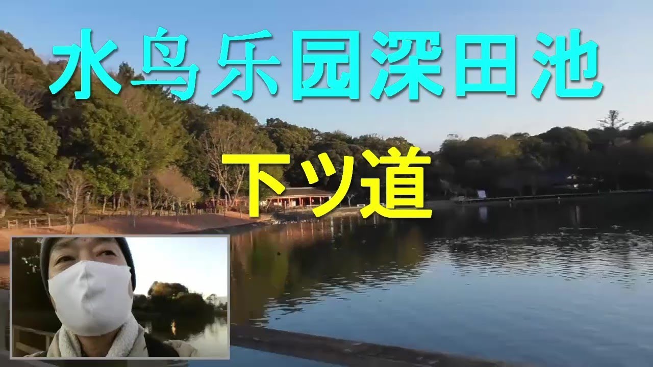 水鸟乐园深田池下ツ道 Youtube 水鸟乐园深田池下ツ道 Youtube