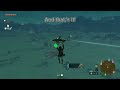 NEW Speed Glitch in Tears of the Kingdom!!!