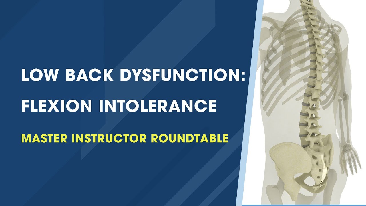 Dairy Intolerance Lower Back Pain at Nicole Jensen blog