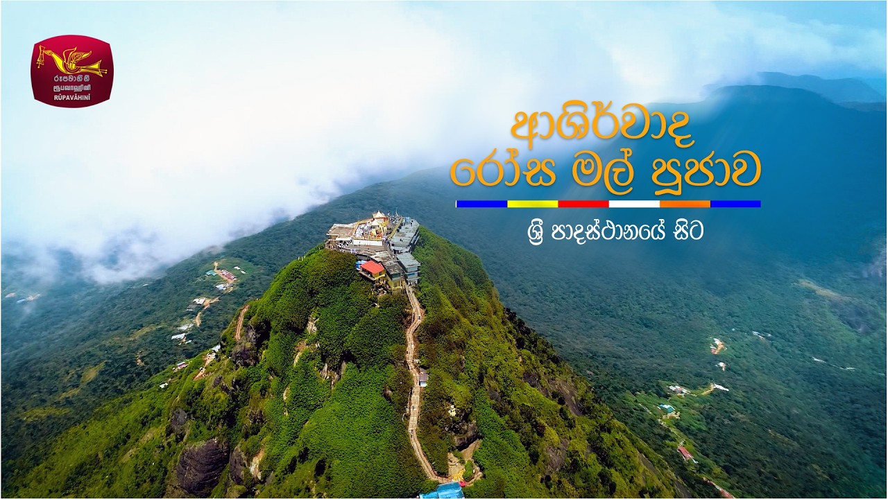 Saddharma Warsha - Madin Poya Programme | රෝස මල් පුජාව | 2026-03-02 | Rupavahini