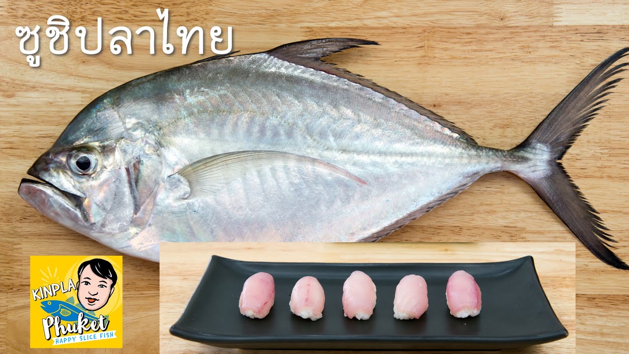 Sashimi ซูชิปลาไทย ปลากระมง ปลามง กินดิบ EP20
