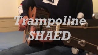 Trampoline - SHAED / Guitar Cover (fingerstyle) chords