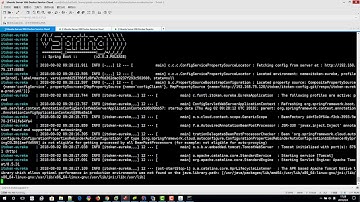 千锋Java教程：105 iToken 部署持续集成 实战服务注册与发现