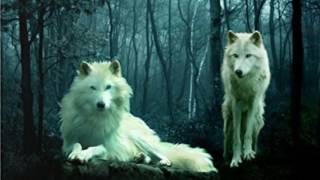 Ltigo Canvas Wall Art Wolves 12" x 16"