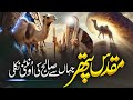 Hazrat Saleh (A.S) Ki Oontni Ka Waqia | Complete History of Prophet Salih (A.S) & Qaum-e-Samood