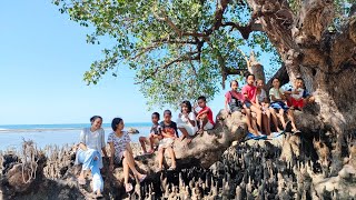 Keke Tasi Beaco Nia Furak