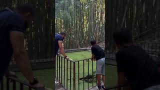 Coimbra Portugal 🇵🇹