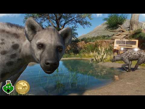 Preparing for Our BIGGEST Build Yet with the Spotted Hyena