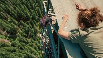 The Dream Job Turns Into A Nightmare When A Creature In The Forest Chases Her For What She Has