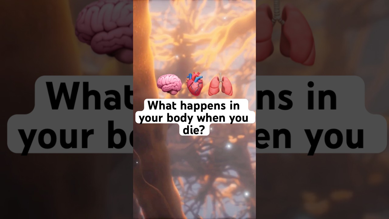 The fascinating process of dying! 