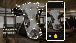 Snap Animal App Sistema De Ia Para La Identificación De Animales Sin Contacto.