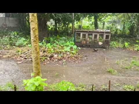#viralvideo another heavy rain