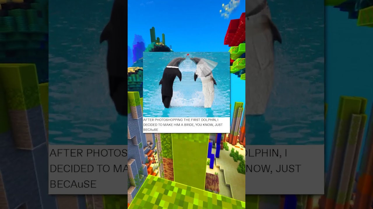 The Dolphin Wedding 🐬