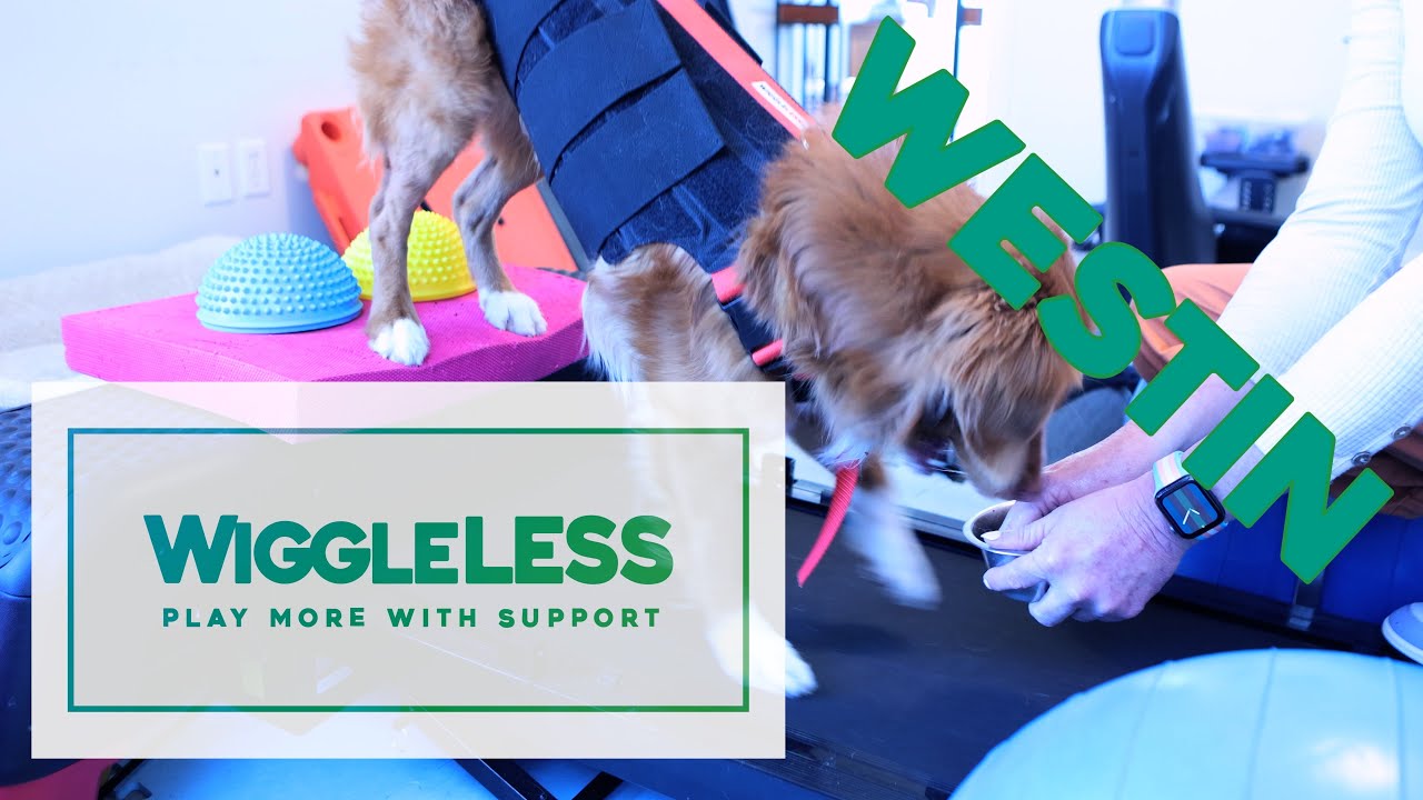 Westin on Wiggleless Back Brace YouTube