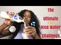 Rice Water For Hair | Growth/Thickness | ((Part One))