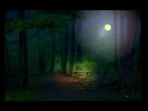 Fireflies Javascript Animation
