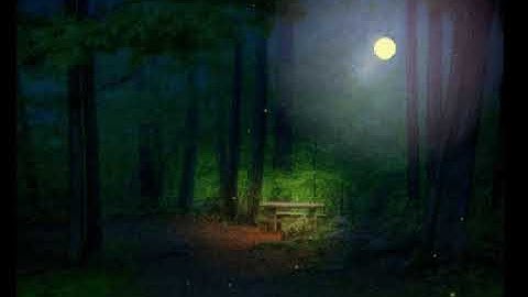 Fireflies Javascript Animation