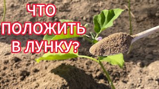 СДЕЛАЙТЕ ТАК ПРИ ПОСАДКЕ БАКЛАЖАН! ЧТО ПОЛОЖИТЬ В ЛУНКУ!